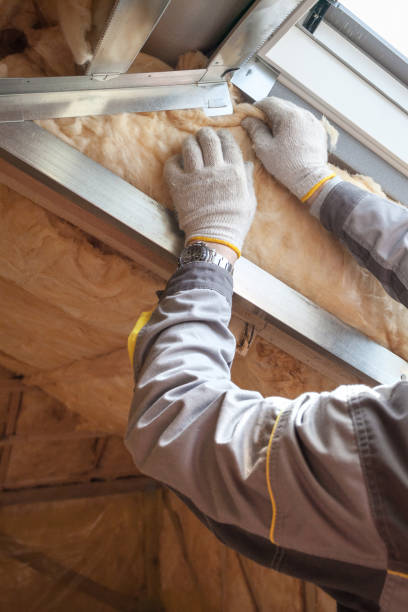 Best Energy Efficiency Solutions in Coleman, MI