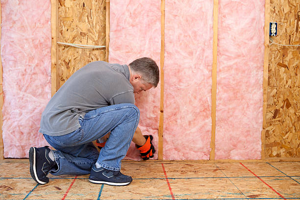 Best Types of Insulation in Coleman, MI