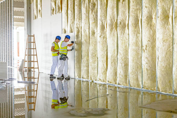 Best Commercial Insulation in Coleman, MI